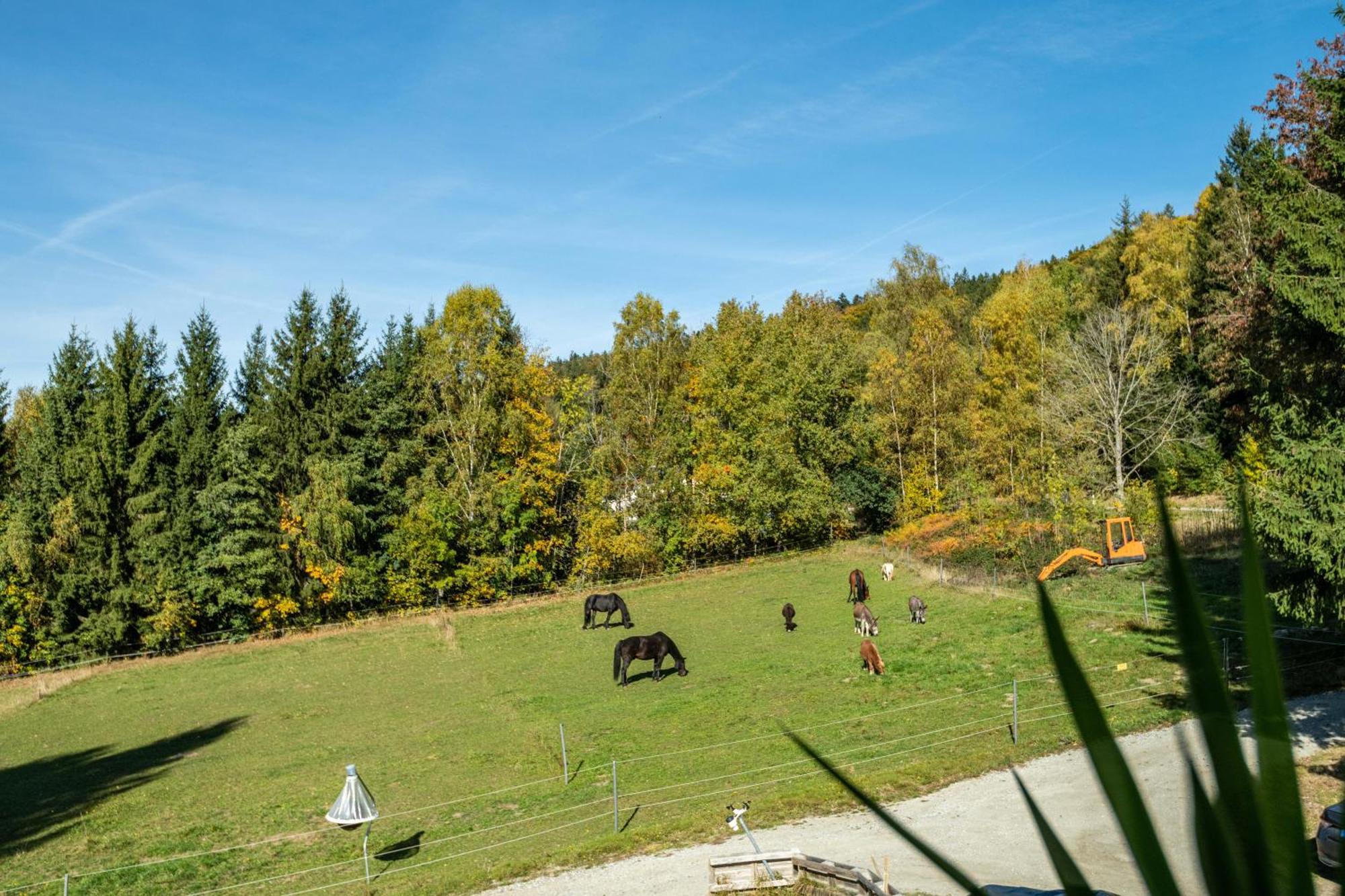 Fuchswiese Thurmansbang Exterior foto